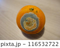 腐ったミカンはどこにでもある 116532722
