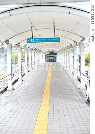 兵庫県　神戸市　神戸港　中突堤旅客ターミナル周辺 116533019