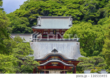 鶴岡八幡宮 116533455