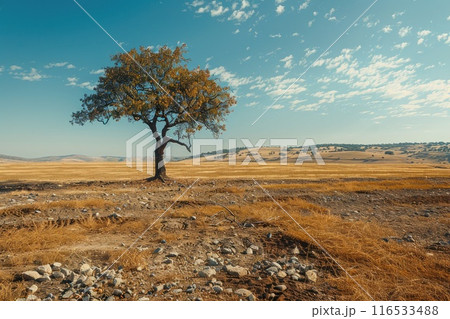 Lone green tree in dried cracked earth symbolizing hope and resilience amidst adversity 116533488