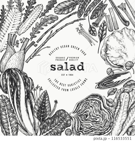 Green Vegetable Design Template. Vector Hand Drawn Healthy Leaf Salad Banner. Vintage Style Menu Illustration. 116533551