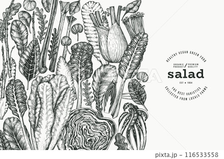 Green Vegetable Design Template. Vector Hand Drawn Healthy Leaf Salad Banner. Vintage Style Menu Illustration. 116533558
