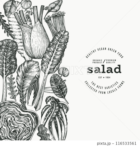 Green Vegetable Design Template. Vector Hand Drawn Healthy Leaf Salad Banner. Vintage Style Menu Illustration. Green Vegetable Design Template. Vector Hand Drawn Healthy Leaf Salad Banner. Vintage Style Menu Illustration. 116533561