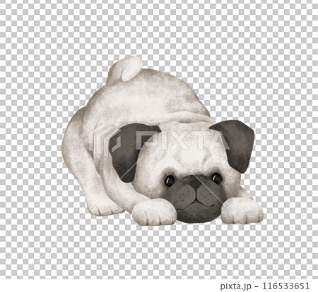 Cartoon animal dog for kids design . Hand drawn illustration of pug sitting or leas on isolated background. Minimalist Scandinavian style. Cute pets for kids post or stickers 116533651