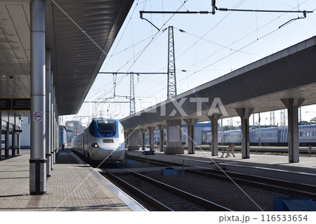 ウズベキスタンの高速鉄道(アフラシャブ号) ウズベキスタンの高速鉄道(アフラシャブ号) 116533654