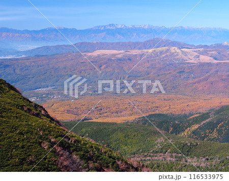 八ヶ岳・天狗岳から望む秋の北アルプス 八ヶ岳・天狗岳から望む秋の北アルプス 116533975