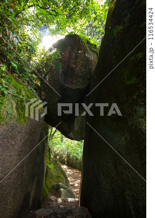 弁慶七戻り　筑波山の奇岩群 116534424