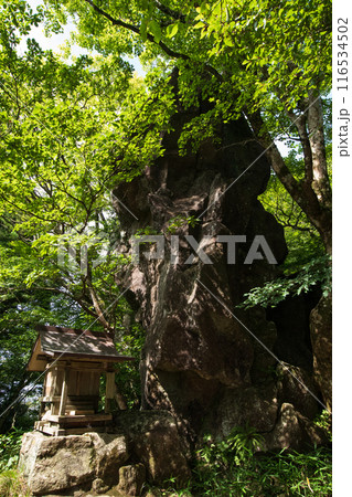 北斗岩 筑波山の奇岩群 北斗岩 筑波山の奇岩群 116534502