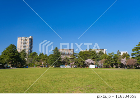 宮城県仙台市 榴岡公園 116534658