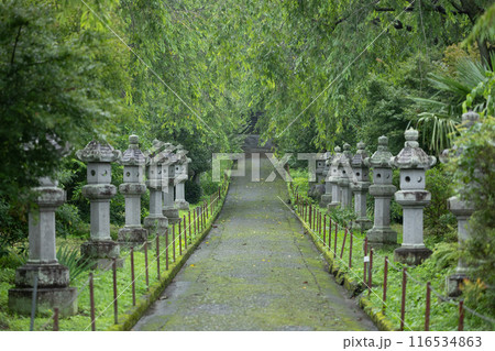 雨に煙る澤観音寺の灯篭 116534863