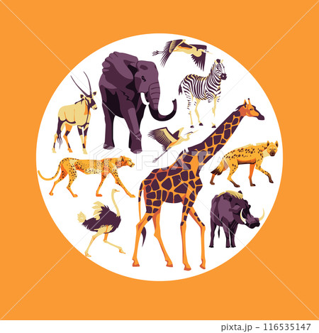 Square and round set of wild African animals. Orange color. Vector flat illustration. Zoo and tourism Square and round set of wild African animals. Orange color. Vector flat illustration. Zoo and tourism 116535147