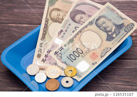 カルトンの上に置かれたお金 カルトンの上に置かれたお金 116535187