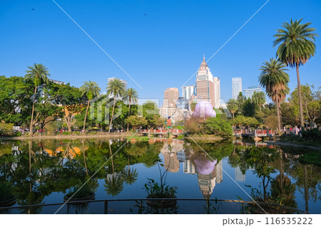 台湾 台北市 国父紀念館の翠湖と台北のビル群 台湾 台北市 国父紀念館の翠湖と台北のビル群 116535222
