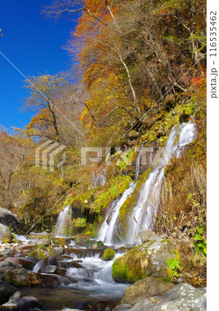 山梨県北杜市の吐竜の滝 116535462