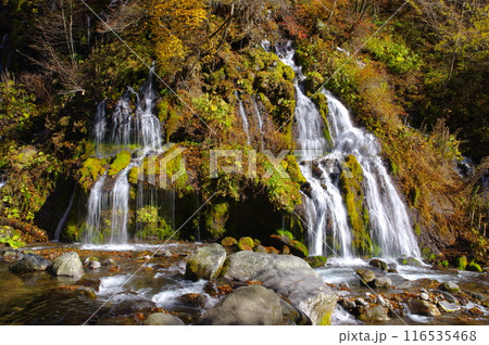 山梨県北杜市の吐竜の滝 山梨県北杜市の吐竜の滝 116535468