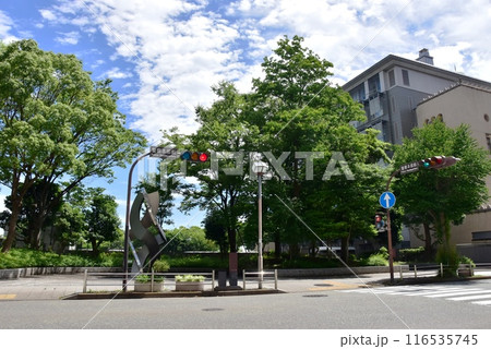 横浜市中区　海岸通二丁目の街並み 116535745