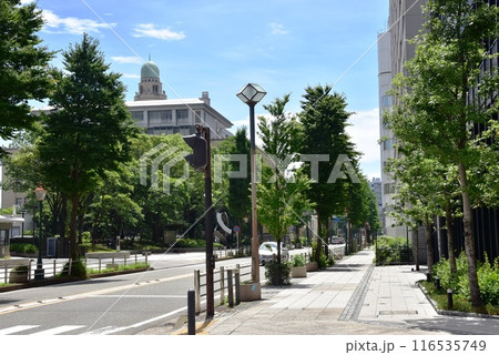 横浜市中区 海岸通二丁目の街並み 横浜市中区 海岸通二丁目の街並み 116535749