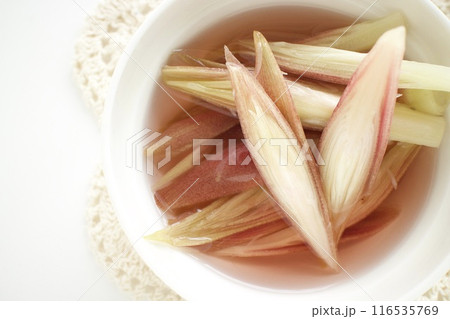 みょうがの甘酢漬け 116535769