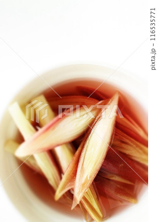 みょうがの甘酢漬け 116535771