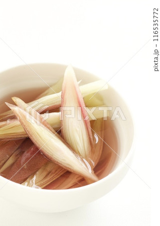 みょうがの甘酢漬け 116535772