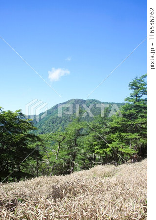 千頭星山 116536262