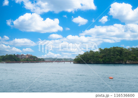 観光地松島の福浦島と福浦橋 116536600