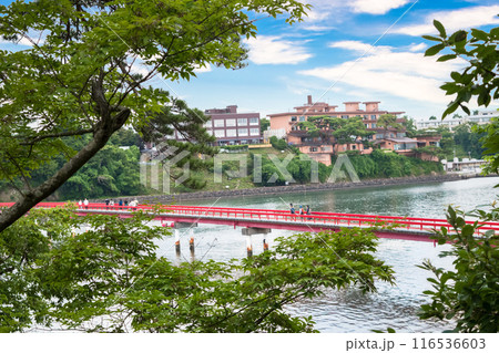 観光地松島の福浦島と福浦橋 観光地松島の福浦島と福浦橋 116536603