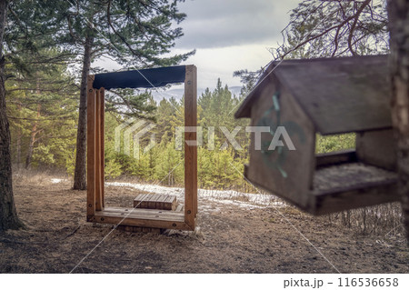 Wooden photo frame and birdhouse in a quiet forest in a serene nature 116536658
