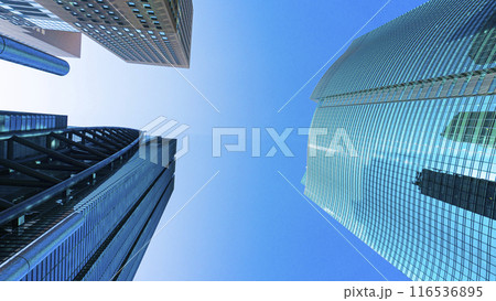 都心の高層オフィスビル群の風景 116536895