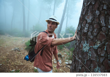 Man hiking in misty forest holding tree trunk wearing hat and backpack 116537083
