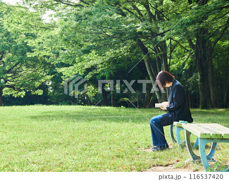 夏の公園のベンチで座って読書する一人の中年女性の姿 116537420