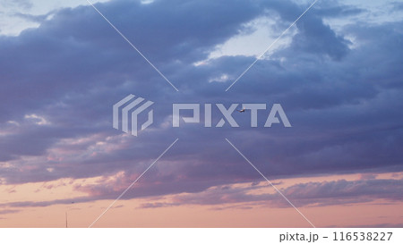 夏の綺麗な青空と美しい雲の風景 116538227