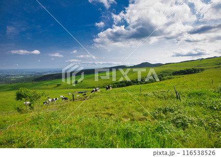 ナイタイ高原牧場 116538526