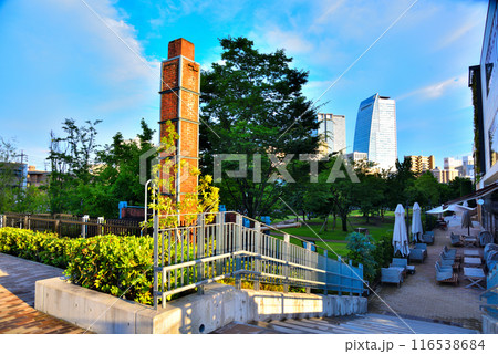 《愛知県》名古屋都市風景　ノリタケの森から見た名古屋駅の高層ビル群 116538684