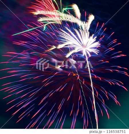 夜空を彩る　美しい打ち上げ花火 116538751