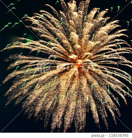 夜空を彩る 美しい打ち上げ花火 夜空を彩る 美しい打ち上げ花火 116538765