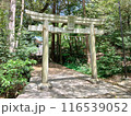 青海神社の鳥居 116539052