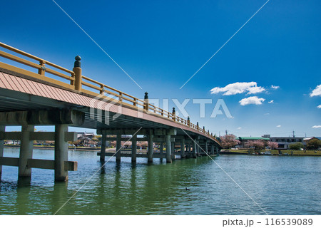 日本三名橋瀬田の唐橋 日本三名橋瀬田の唐橋 116539089