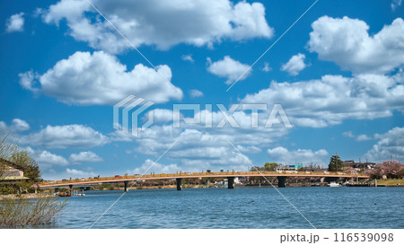 日本三名橋瀬田の唐橋 日本三名橋瀬田の唐橋 116539098