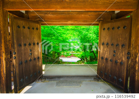 【定勝寺】新緑と山門【木曽郡大桑村】 116539492