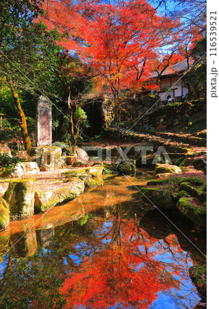 【兵庫県】シンメトリーな紅葉の高源寺 【兵庫県】シンメトリーな紅葉の高源寺 116539521