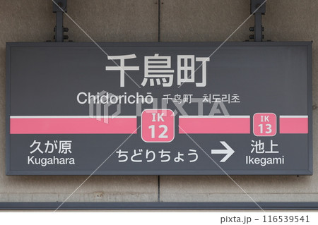 千鳥町駅駅名標 116539541