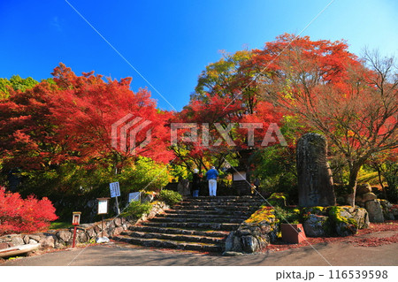 【兵庫県】紅葉の高源寺の惣門 116539598