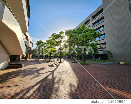 夕日に輝く法政大学玉キャンパス 116539944