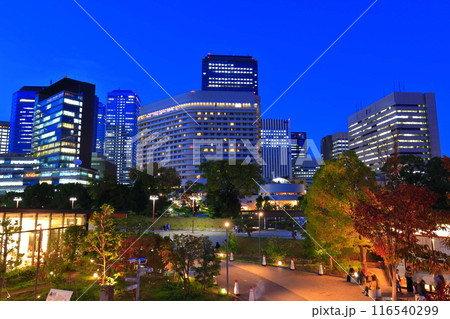 【大阪府】大阪ビジネスパークとキャッスルガーデン大阪の夜景 【大阪府】大阪ビジネスパークとキャッスルガーデン大阪の夜景 116540299