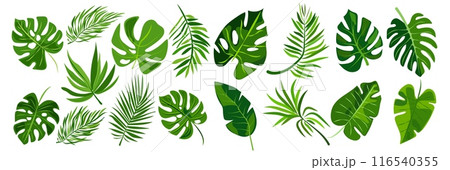 features eight different types of green leaves, each with distinct shapes and vein patterns. diverse foliage showcases various botanical designs, ideal for nature-related graphics and design projects 116540355