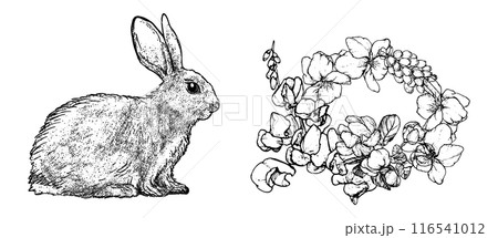 Graphical spring set isolated on white background, vector illustration Graphical spring set isolated on white background, vector illustration 116541012