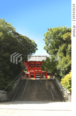 小倉百人一首かるたの聖地近江神宮 116541614