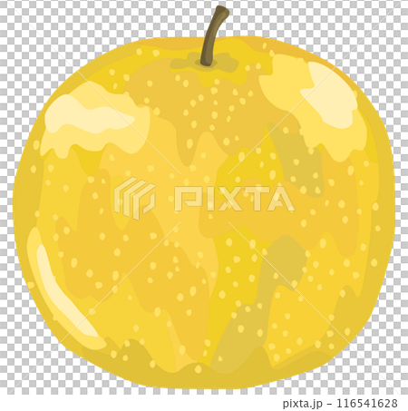 シンプルな梨のイラスト ベクター素材 116541628