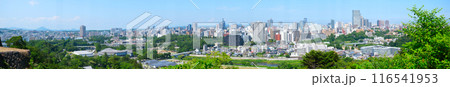 仙台城跡から見える仙台市街　パノラマ写真 116541953